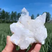 410g Natural Clear Quartz Cluster Quartz Crystal Point Specimen Reiki Decor