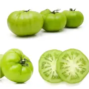 Tomato - Evergreen seeds