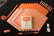Stampin' Up! TANGELO TWIST In-Color Supplies - Cardstock, Ink, Refill, Marker ++