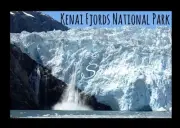Kenai Fjords National Park Alaska Flexible Fridge Magnet -0179