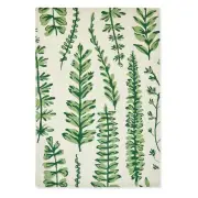 Scion Ferns Rug Juniper