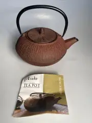 PRIMULA TEAPOT Cast Iron New