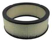 Engine Air Filter for Chevrolet P20 Van 1971-1974 with 5.7L 8Cyl V (for: Chevrolet)