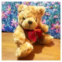 在飛比找momo購物網優惠-【TEDDY HOUSE泰迪熊】泰迪熊玩具玩偶公仔絨毛娃娃玫