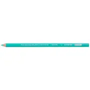 Prismacolor Pencil Light Aqua