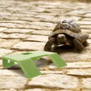 Basking Platform Aquatic Turtles Tank Platforms Area Accessories
