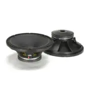 L15P540 Vehicle Speaker, Black