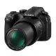 【請先詢問】Panasonic DC-FZ1000 II 公司貨 FZ1000 FZ10002 贈原廠相機包