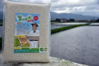 在飛比找樂天市場購物網優惠-永福有機農場美味米(台農82號)