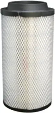 Air Filter Baldwin RS3992