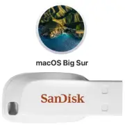 Bootable USB Mac OS X Installer Big Sur in USB Thumbdrive Stick iMac Macbook Pr