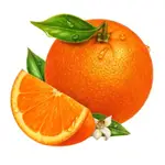 LORIEN VANA 10ML甜橙ORANGE SWEET單方精油