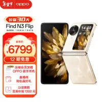 在飛比找京東台灣優惠-OPPO Find N3 Flip 12GB+512GB 月