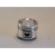 Austral Piston Set - PO1066 STD