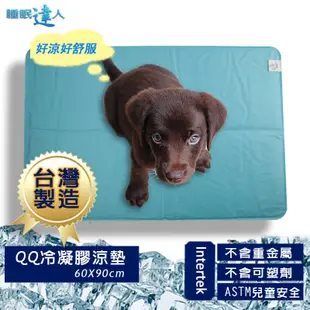 【睡眠達人irest】 QQ冷凝膠寵物涼墊涼蓆(60x90cm*1件)，可冷藏，可手洗，台灣專利 (6.3折)