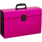 Brilliant Basics Carry File - Assorted*