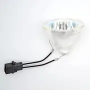 Lamps and Lanterns Replacement Bare Projector Lamp ELPLP71 ELPLP74 ELPLP75 ELPLP78 ELPLP79 ELPLP80 ELPLP87 ELPLP88 ELPLP96 ELPLP97for Compatible with Epson