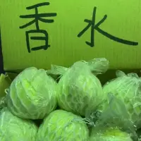 在飛比找蝦皮購物優惠-每天少量到貨【台中摩天嶺紅心硬芭樂 vs香水軟芭樂】吃健康 