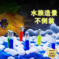 在飛比找蝦皮購物優惠-PJ小舖｜水中不倒翁 水族魚缸裝飾造景 造景擺飾 鬥魚缸 水