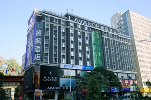 麗楓酒店(深圳北站龍華壹城中心店)Lavande Hotel (Shenzhen North Railway Station)