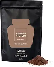 WelleCo Plant-Based Chocolate Protein Powder, Organic Brown Rice & Pea Blend, 16.8 g Protein per Serving, Dairy-Free Supplement for Energy, Recovery & Daily Nutrition, 35.3 oz (1 kg) Pouch