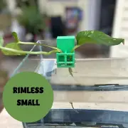 Small Aquarium Pothos Plant Holder for Rimless Fish Tanks 3D Printed