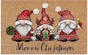 Christmas Doormats 40 x 60cm Home Front Door Decorations Welcome Blankets Welcome Rug with Non Slip Rubber Backing Merry Christmas Door Mat for Home Decoration