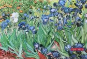 Garden of Irises by Vincent Van Gogh Art Poster 24 x 36