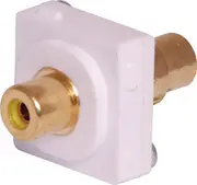 Yellow RCA To RCA Clipsal Clip-In Mechanism