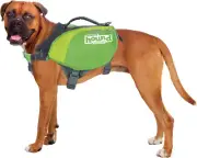 Outward Hound DayPak Green Dog Saddleback Backpack, Large
