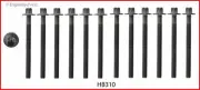 Head Bolt Set - Fits GM 262 OHV H Ecotec - 2 Sets Required - HB312