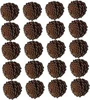 Amosfun 20pcs Dried Pine Nut Flower Ingredients Pine Cones for Craft Decorative Material Rustic Decorations Christmas Natural Mini Pine Cones Bulk Fir Mini Pine Cones Craft Ornament Brown