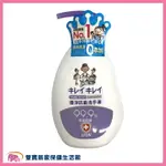 獅王 趣淨抗菌洗手液 果香250ML 洗手乳 抗菌洗手乳