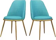 SJIALEN Dining Chair,for Living Room Bedroom Marriage Room Leisure Chairs Wrought Iron Leather Home Negotiation Backrest Chair Chairs(Color:Blue,Size:2)