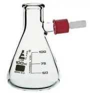 Eisco Labs 100ml Filtering Conical Flask, Plastic Side Arm - Borosilicate Glass
