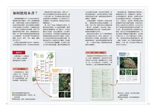 蕨類觀察圖鑑1：基礎常見篇