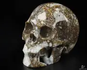4.1" Tree Leaves Agate Hand Carved Crystal Skull, Realistic, Crystal Healing