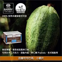 在飛比找完美烘焙材料坊優惠-《分裝》法國可可巴芮 Cacao Barry：小脆片