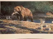 Bob Kuhn "Poached Salmon" Nature Lithograph Print 1974 Signed In Plate