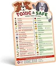 EBPP Magnetic List of Foods Dogs Can Eat - Dog Feeding Chart Fridge Magnet - Foods Dogs Shouldnt Eat Chart Decorative Magnets - Dog Safety Emergency Numbers Magnet - New Puppy Essentials 9.75" x 6.75"