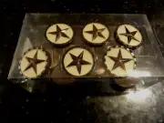 new 12 piece set SHOWER CURTAIN HOOKS Texas Star Circle tan brass tone STARS