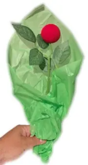 Funny LONG STEM RED NOSE Flower Rose Gag Foam Clown Gift Joke Valentine Birthday