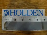 Holden Ski/Snowboard Wear blue/clear sml Sticker Decal
