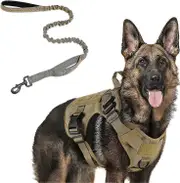 Tactical Dog Harness and 5.2ft Bungee Leash Set for Large Medium Dogs - Military Style, Hunting and Training Gear
