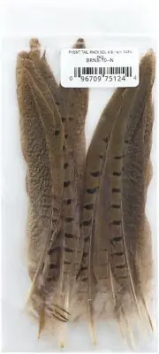 Zucker Ringneck Pheasant Tails 6"-8" 10/Pkg-Natural