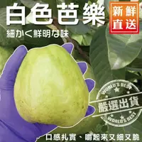 在飛比找PChome24h購物優惠-【WANG蔬果】套網燕巢牛奶珍珠芭樂(5斤±10%)