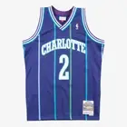 Men Mitchell & Ness NBA Swingman Jersey Charlotte Hornets 92 Larry Johnson 2XL