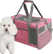 Pet Travel Carrier | Foldable Soft Cat Carrier,Pet Supply Breathable Kitten Carry Backpack for Outdoor Picnics Park Camping Beach Car Shopping Hiking Porch Going Out