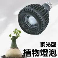 在飛比找momo購物網優惠-【君沛】植物燈 20瓦 調光型 全光譜 植物燈泡(塊根植物 