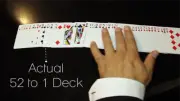 The 52 to 1 Deck (Gimmicks) Card Magic Tricks Illusions Close up Magic Mentalism